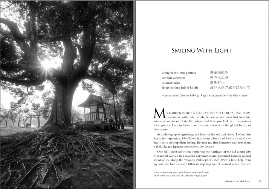 book smiling light PDF